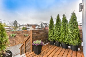 Cozy wooden deck with tall green plants and flower pots under a blue sky.